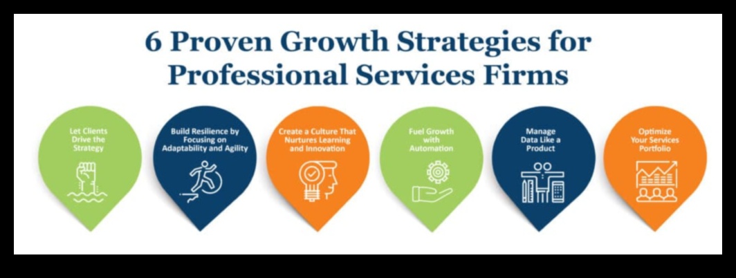 استراتيجيات للحصول على مشورة النمو المستدام من كبار القادة الاستشاريين 2 استراتيجيات النمو المستدام: الحكمة التجارية للقادة الاستشاريين