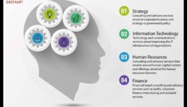 استراتيجيات النمو المستدام: الحكمة التجارية للقادة الاستشاريين