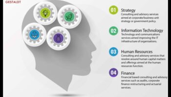 استراتيجيات النمو المستدام: الحكمة التجارية للقادة الاستشاريين