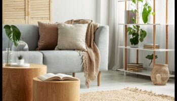 كل ما تحتاج لمعرفته حول تنفيذ مفاهيم التزيين