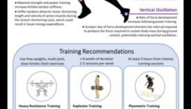 ارتفاع القدرة على التحمل: كيف تزيد التمارين من القدرة على التحمل والقدرة على التحمل