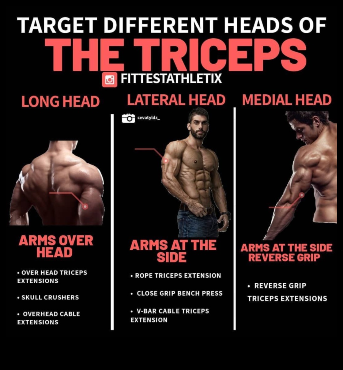 انتصار ثلاثية الرؤوس: إطلاق العنان لإمكانات ذراعك الكاملة