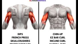 انتصار ثلاثية الرؤوس: إطلاق العنان لإمكانات ذراعك الكاملة