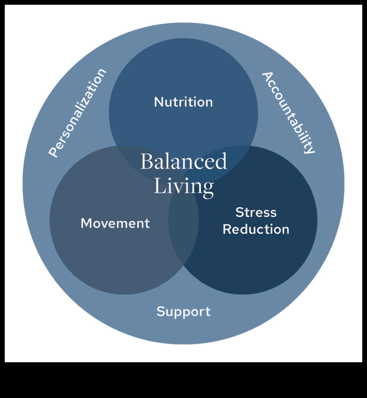 مجموعة متنوعة من الحركات الواعية: خيارات تمرين متنوعة لفوائد الوزن المتنوعة