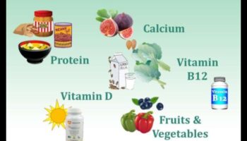 النظام النباتي وصحة العظام: فهم توازن المغذيات