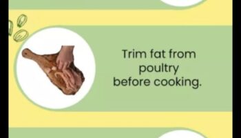 هل النظام الغذائي قليل الدهون هو مفتاح صحتك وعافيتك؟