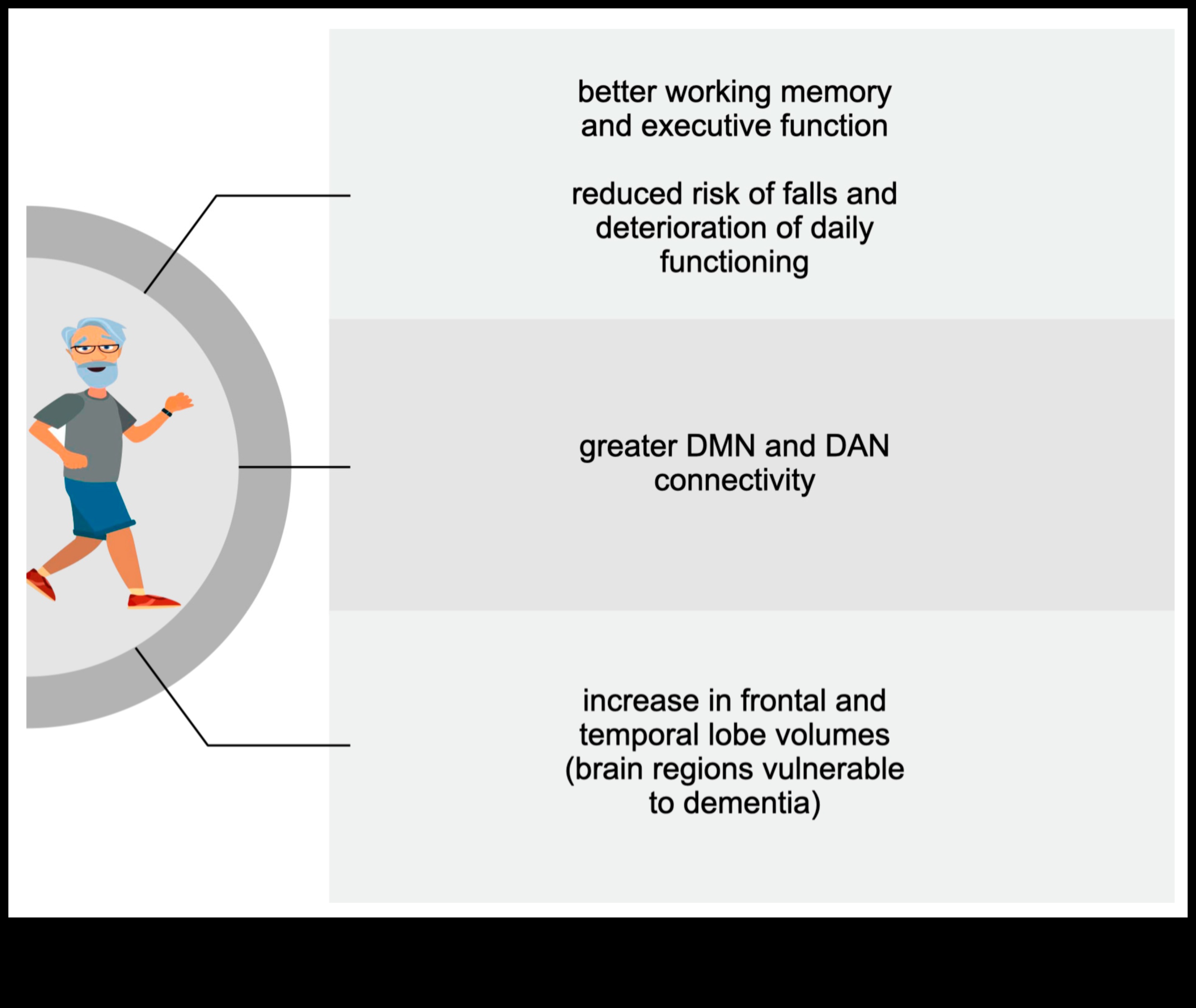 قانون التوازن: دور التمرين في الاستقرار العاطفي
