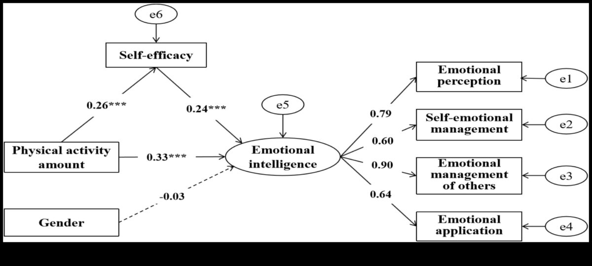 قانون التوازن: دور التمرين في الاستقرار العاطفي