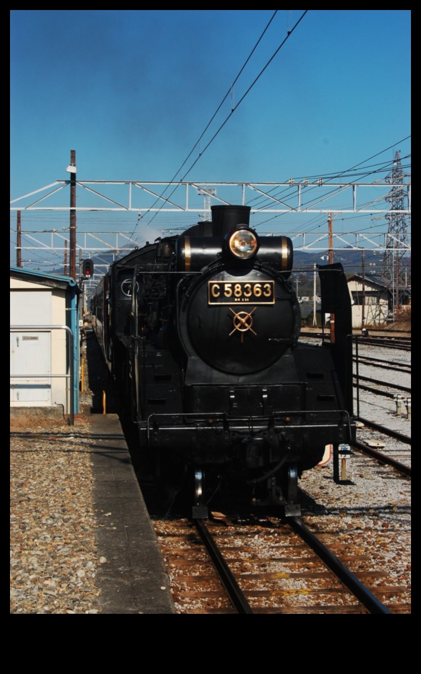 رحلة باليو عبر الزمن 4 نصائح سفر صديقة للبيئة: البقاء على المسار الصحيح بعيدًا عن المنزل