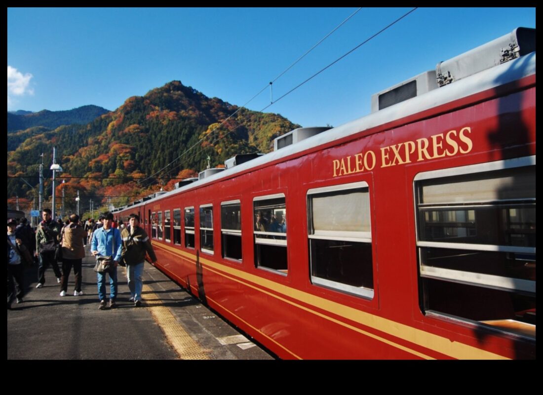 نصائح سفر صديقة للبيئة: البقاء على المسار الصحيح بعيدًا عن المنزل