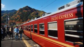 نصائح سفر صديقة للبيئة: البقاء على المسار الصحيح بعيدًا عن المنزل