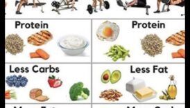 العلم وراء الأنظمة الغذائية قليلة الدهون وإدارة الوزن