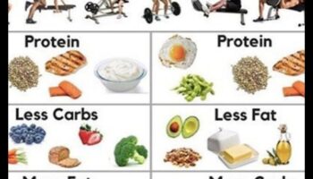 العلم وراء الأنظمة الغذائية قليلة الدهون وإدارة الوزن