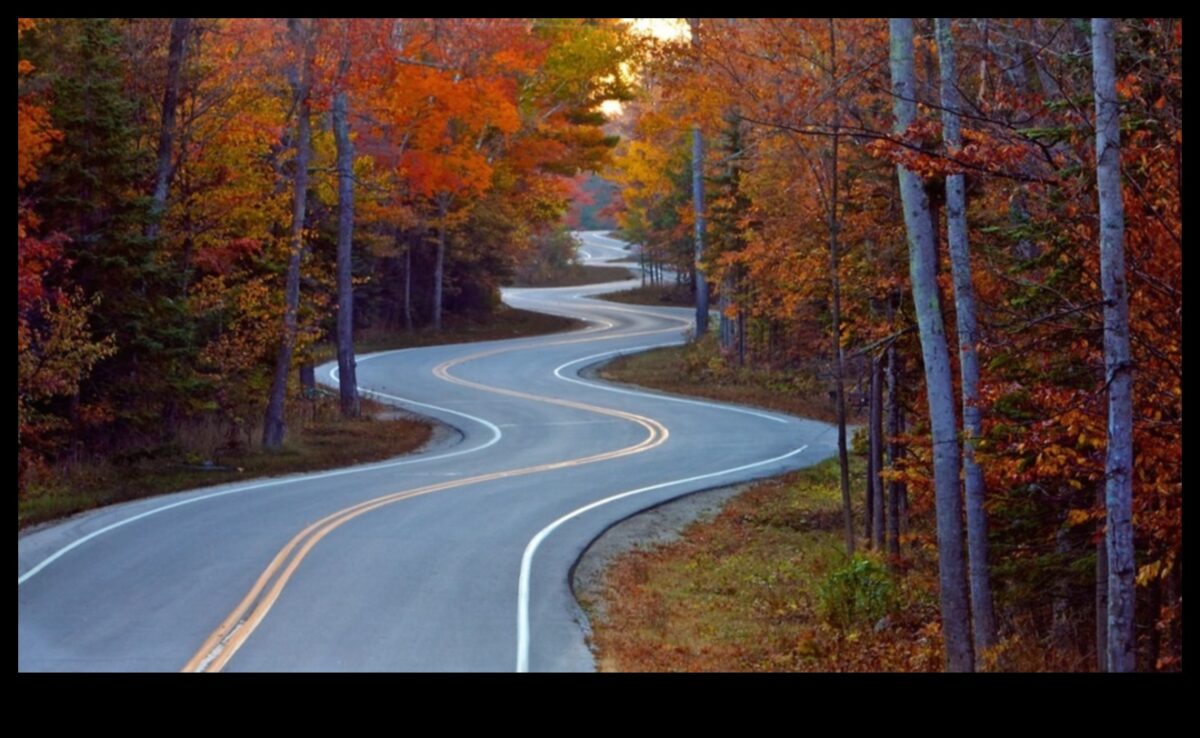 الأنظمة الغذائية طويلة الأمد والحفاظ على الوزن بعد النظام الغذائي: استراتيجيات النجاح