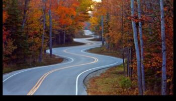 الأنظمة الغذائية طويلة الأمد والحفاظ على الوزن بعد النظام الغذائي: استراتيجيات النجاح