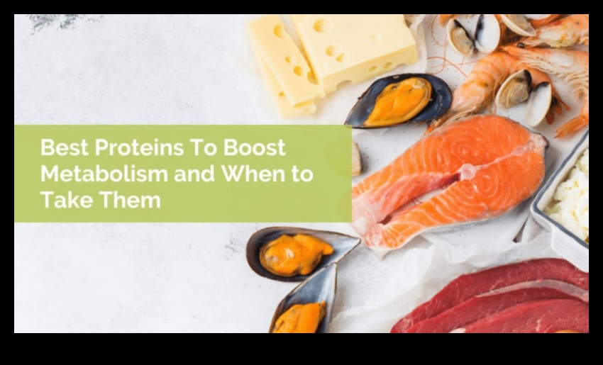 تأثير الأنظمة الغذائية الغنية بالبروتين على عملية التمثيل الغذائي