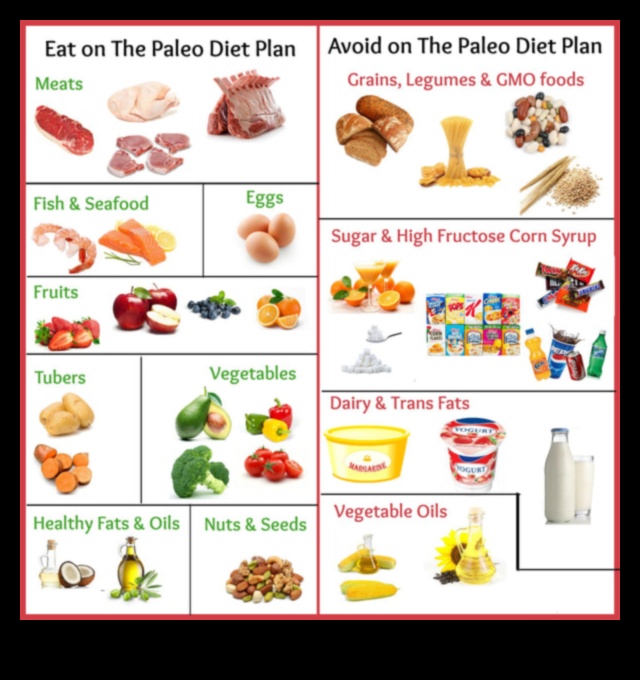 تأثير الأنظمة الغذائية الغنية بالبروتين على عملية التمثيل الغذائي