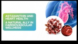 آفاق صحة القلب: اكتشاف العافية من خلال أمراض القلب