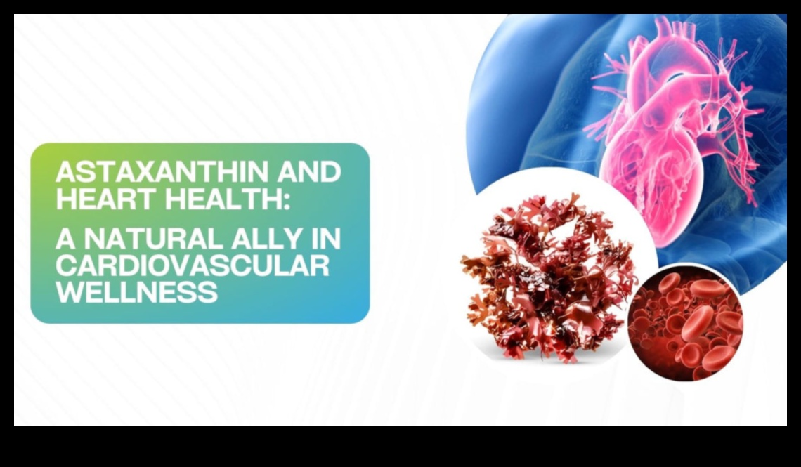 آفاق صحة القلب: اكتشاف العافية من خلال أمراض القلب