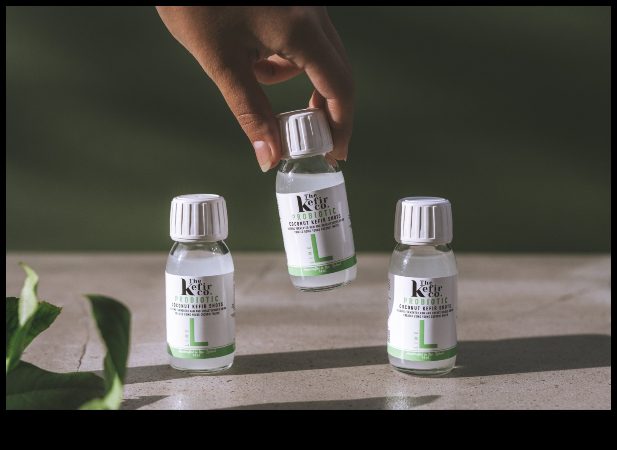 النظام الغذائي النباتي والأطعمة المخمرة: تعزيز البروبيوتيك