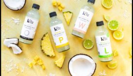 النظام الغذائي النباتي والأطعمة المخمرة: تعزيز البروبيوتيك