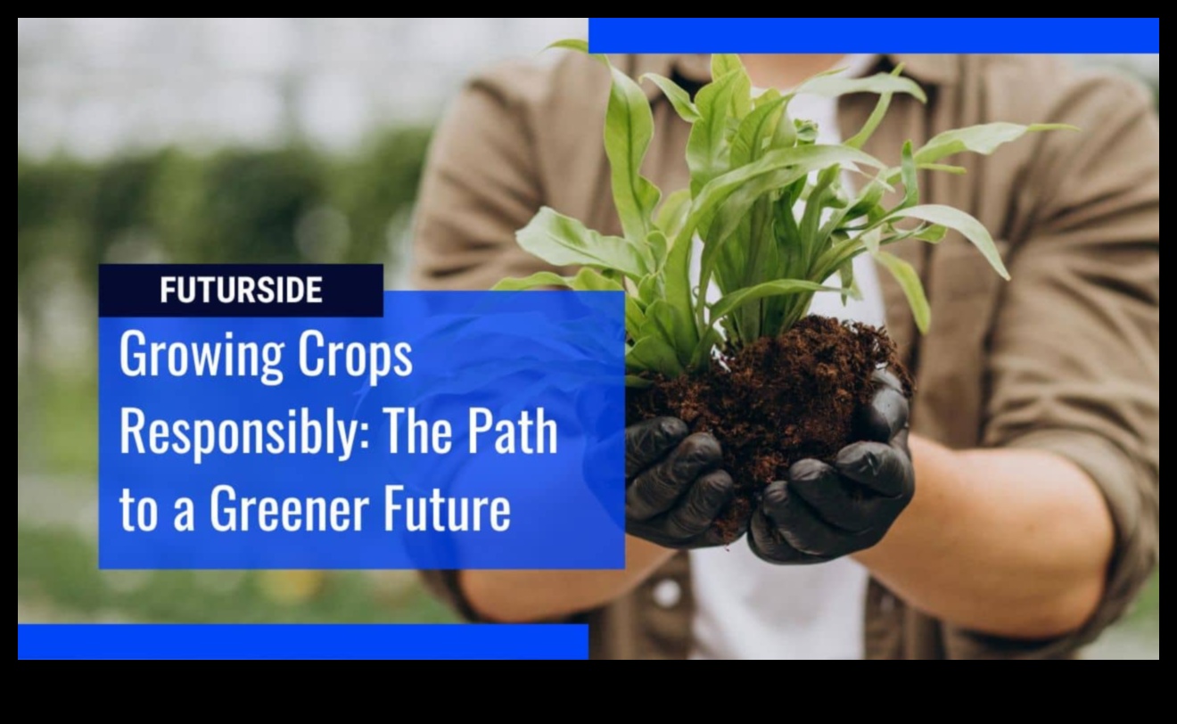 الزراعة المستدامة طريق إلى المستقبل 5 الأنظمة الغذائية قليلة الدهون والزراعة المستدامة: نهج أخضر