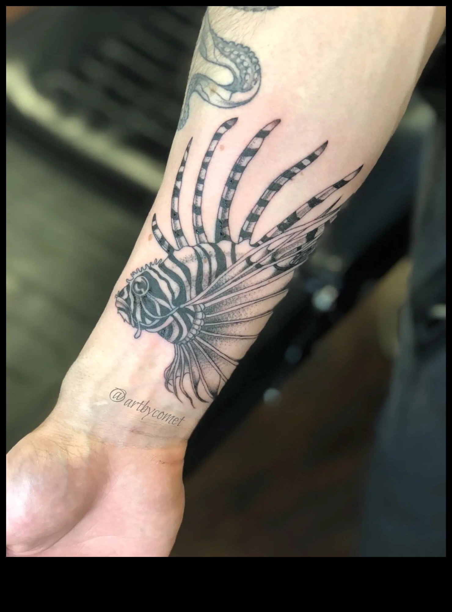 الزعانف والريش: الغوص في سجلات وشم الحيوانات المائية