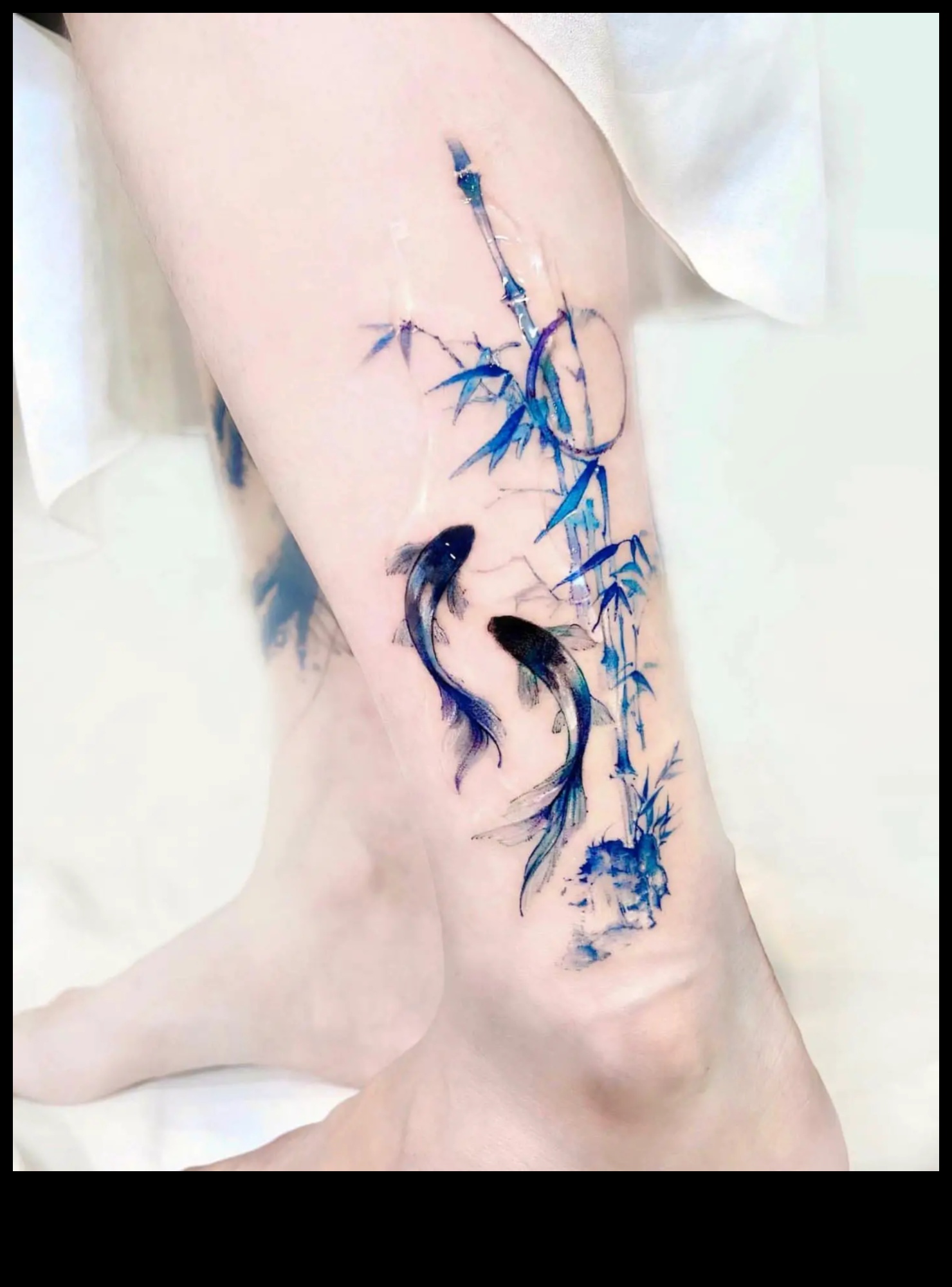 الزعانف والريش: الغوص في سجلات وشم الحيوانات المائية