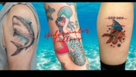 الزعانف والريش: الغوص في سجلات وشم الحيوانات المائية