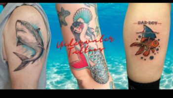 الزعانف والريش: الغوص في سجلات وشم الحيوانات المائية