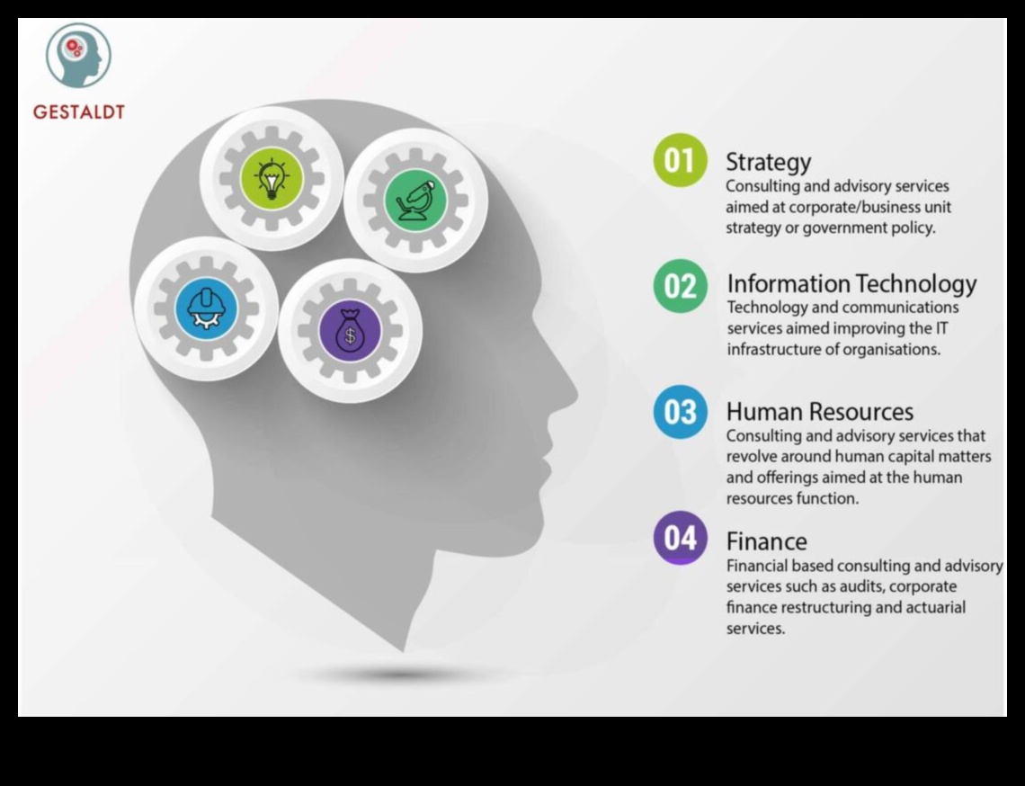 استراتيجيات للحصول على مشورة النمو المستدام من كبار القادة الاستشاريين 1 استراتيجيات النمو المستدام: الحكمة التجارية للقادة الاستشاريين