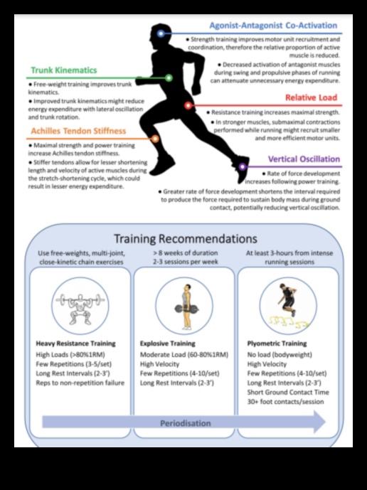 ارتفاع القدرة على التحمل: كيف تزيد التمارين من القدرة على التحمل والقدرة على التحمل